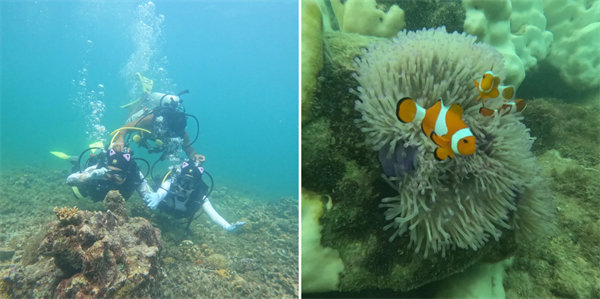 暢游碧海藍天，共筑團隊夢想—博皓沙巴風情之旅        -4